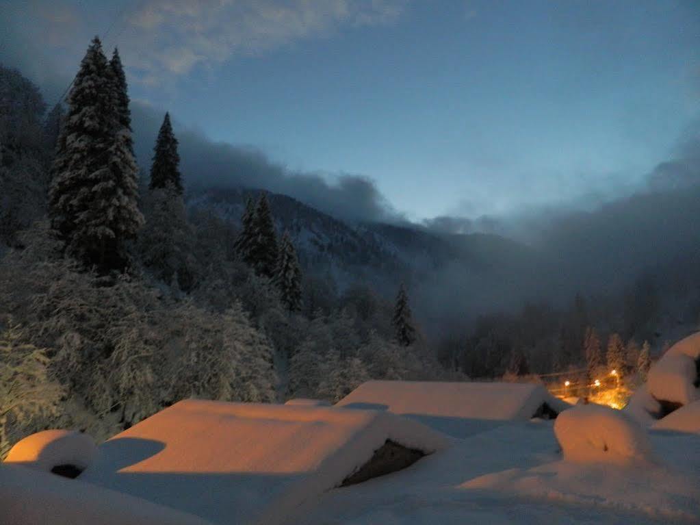 Ayder Elizan Hotel Camlihemsin Exterior photo