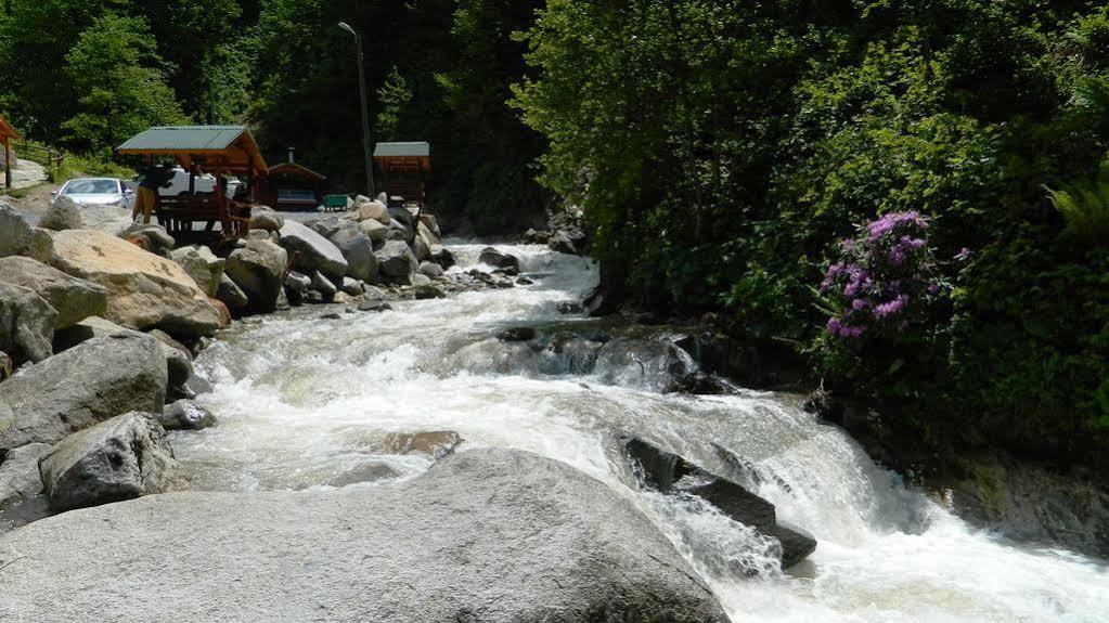 Ayder Elizan Hotel Camlihemsin Exterior photo