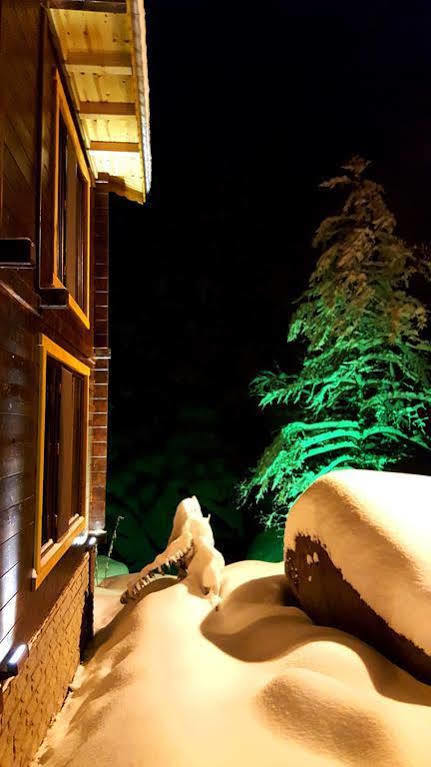 Ayder Elizan Hotel Camlihemsin Exterior photo
