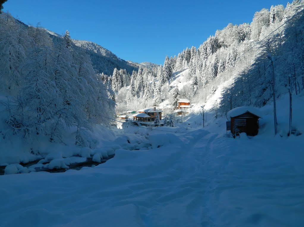 Ayder Elizan Hotel Camlihemsin Exterior photo